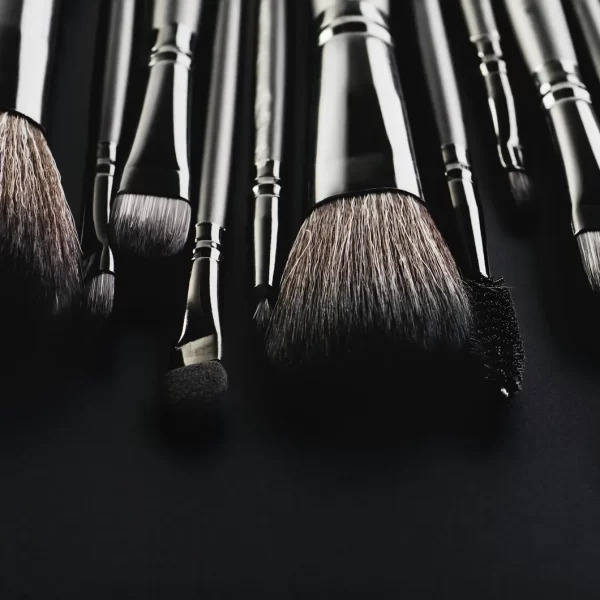 5 Best Makeup Brush Sets-For a Professional Look